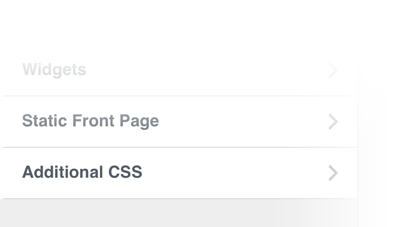 Additional WordPress CSS Option